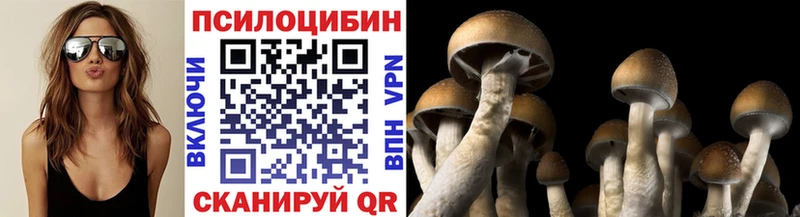 что такое   Чапаевск  Галлюциногенные грибы мухоморы 